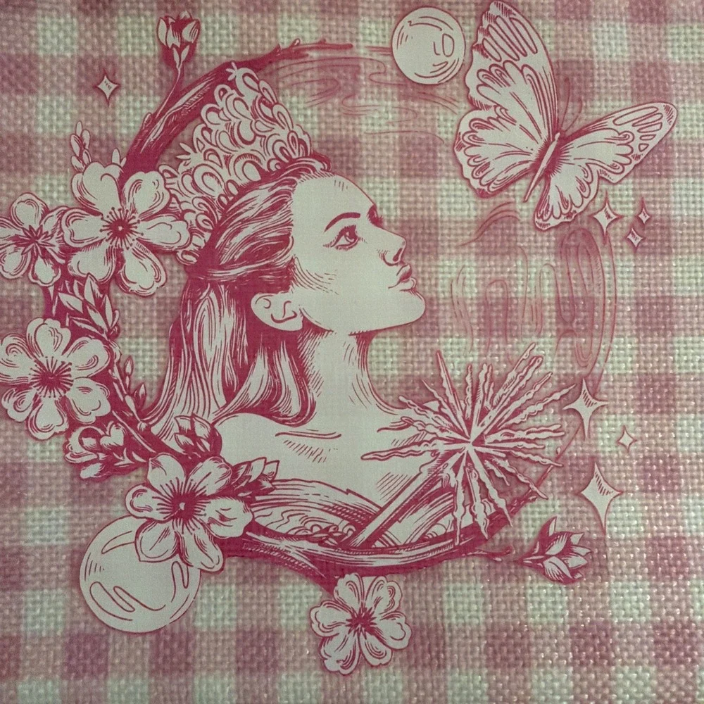 Yoobi Wicked Katie Kime Pencil Case Pink & Green Gingham Pattern Witchy NWT
